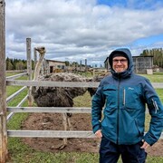 ���������� ������, ���� ������� ����, 45 ���, ������������ ��� c�������� ���������