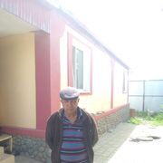   ,   , 54 ,   ,   