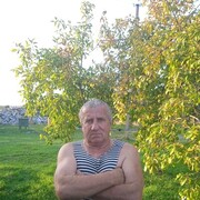  ,   , 65 ,   