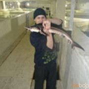 ���������� ��������, ���� ������� �������, 37 ���, ������������ ��� ���������