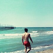  ,   Java, 30 ,   ,   , c , 