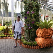  ,   , 52 ,  