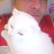 ���������� ��������, ���� ������� Albert, 58 ���, ������������ ��� ����� � ���������, c�������� ���������