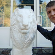 ���������� �����������, ���� ������� �������, 43 ����, ������������ ��� ����� � ���������, c�������� ���������, ���������