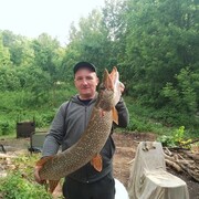 ���������� ���������, ������� ������, 47