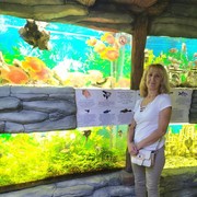  ,   , 58 ,   ,   , c 