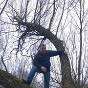  ,   , 44 ,     , c 