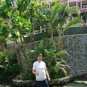  ,   , 54 ,   ,   