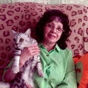  ,   , 63 ,  