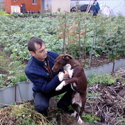 ���������� ������, ���� ������� ����, 41 ���, ������������ ��� ������, ����� � ���������, c�������� ���������