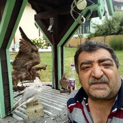  Tetovo,   ZEKO, 61 ,   ,   , c 
