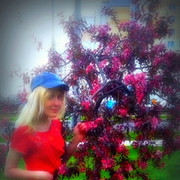 ���������� ������, ���� ������� ���, 38 ���, ������������ ��� ������, ����� � ���������, c�������� ���������