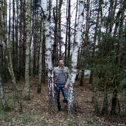  Grojec,  , 41
