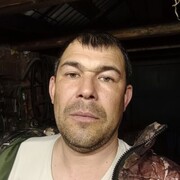  ,   , 41 ,     , 