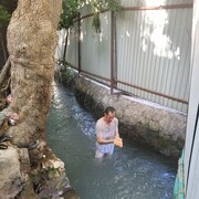 ���������� ������, ���� ������� ��������, 38 ���, ������������ ��� ������, ����� � ���������