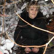 ���������� �����������, ���� ������� �����, 56 ���, ������������ 