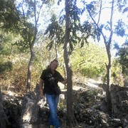 ���������� �����������, ���� ������� ������, 50 ���, ������������ ��� ������, ����� � ���������, c�������� ���������, ���������