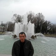  ,   , 41 ,   