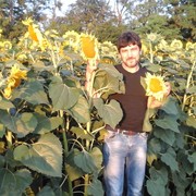  ,   , 63 ,   ,   , c 