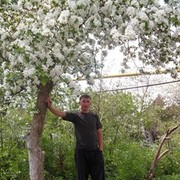 ���������� ��������, ���� ������� �������, 43 ����, ������������ ��� ������, ����� � ���������, c�������� ���������