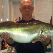  ,   Zhenek7, 51 ,   