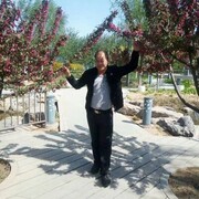  ,   , 50 ,   ,   
