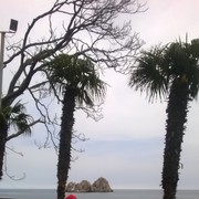 ���������� ������, ������� ������, 40