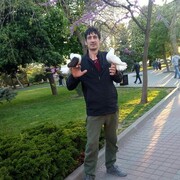 ���������� �����������, ���� ������� ��������, 36 ���, ������������ ��� ������, ����� � ���������, c�������� ���������, ���������