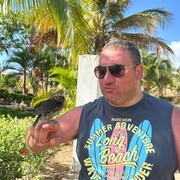 ���������� ������, ���� ������� �����, 39 ���, ������������ ��� ������, ����� � ���������