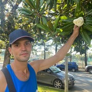 ���������� �����, ���� ������� ������, 33 ����, ������������ ��� ������, ����� � ���������, c�������� ���������