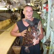  ,   IGOR, 59 ,   
