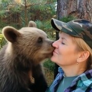  ,   , 54 ,     , c , 