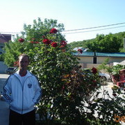 ���������� ������, ���� ������� �����, 48 ���, ������������ ��� ������, ����� � ���������, c�������� ���������, ���������