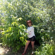 ���������� �����-���������, ���� ������� �������, 50 ���, ������������ ��� ������, ����� � ���������, c�������� ���������, ���������