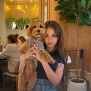 ���������� ������, ���� ������� �������, 24 ����, ������������ ��� ������, ����� � ���������