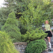 ���������� ���������, ���� ������� �������, 51 ���, ������������ ��� ������, ����� � ���������, c�������� ���������