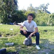 ���������� ������, ���� ������� ���������, 29 ���, ������������ ��� ������, ����� � ���������