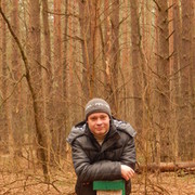  ,   , 43 ,   , 