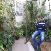 ���������� ����������, ���� ������� ���������, 59 ���, ������������ ��� ������, ����� � ���������, c�������� ���������