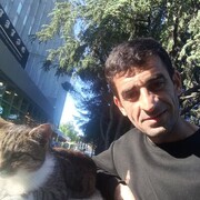 ���������� �����������, ���� ������� ������, 37 ���, ������������ ��� ������, ����� � ���������