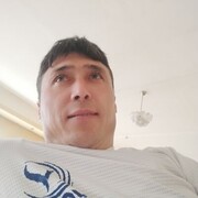  ,   ZAMAL, 40 ,   ,   