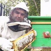 ���������� �����-���������, ���� ������� �����, 30 ���, ������������ ��� ����� � ���������, c�������� ���������