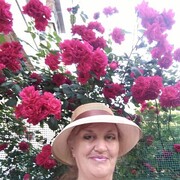  ,   , 63 ,   ,   