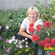  ,   , 58 ,   ,   
