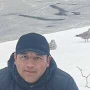  ,   Akbar, 41 ,   ,   