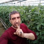  ,   , 44 ,   ,   , c 