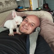 ���������� ������, ���� ������� ������, 41 ���, ������������ ��� ������, ����� � ���������, c�������� ���������, ���������