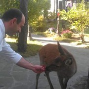 ���������� ����, ���� ������� Irakli, 42 ����, ������������ 