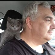 ���������� ������, ���� ������� �������, 55 ���, ������������ ��� ����� � ���������, c�������� ���������