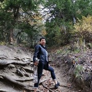  ,   Elvira, 54 ,     , c 